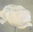 Poppy In White I by Jettie Roseboom Limited Edition Print