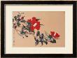 Red Cap Flower by Hsi-Tsun Chang Limited Edition Print