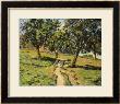 Pathe At Damiette, Circa 1886 by Armand Guillaumin Limited Edition Print