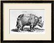 Rhinocerous, No. 76 From Historia Animalium By Conrad Gesner (1516-65) Published In July 1815 by Albrecht Dürer Limited Edition Pricing Art Print
