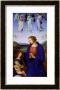 The Virgin And Child by Pietro Perugino Limited Edition Print