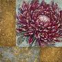 Velvet Dawn Mum by Chad Barrett Limited Edition Print