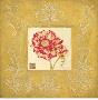 Brocade Anemone by Laurel Lehman Limited Edition Pricing Art Print