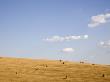 Field With Hay Rolls In Tuscany by Lilian Henglein Limited Edition Print