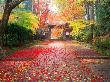 Colorful Autumn Scene In Kyoto by Yamanashi Shashin Jimusho Limited Edition Print