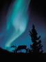 Aurora Borealis In A Forest by Shigeo Fukushima Limited Edition Pricing Art Print