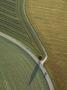 Germany, Bavaria, Fields And Country Roads, Aerial View by Gerald Nowak Limited Edition Print