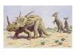Both The Styracosaurus (Right) And The Parasaurolohus Were Herbivores by National Geographic Society Limited Edition Print