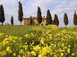 Orcia Valley In Spring by Fabio Muzzi Limited Edition Print