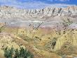 This Valley In Badlands National Park Features Yellow by Joe Henderson Limited Edition Print