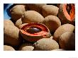 Sapote Fruit For Sale On The Streets Of Guatemala City, Guatemala by Cindy Miller Hopkins Limited Edition Print