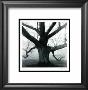 Untitled - Big Tree by B. A. King Limited Edition Pricing Art Print