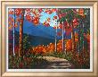 Path To Kaaterskill Falls by Patty Baker Limited Edition Print