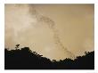 Flight Of Bats Streams From A Dark Rain Forest, Danum Valley, Western Borneo by Mattias Klum Limited Edition Print