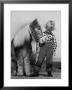 Child Standing Beside A Miniature Horse, Showing Size Comparison by Ed Clark Limited Edition Print