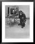 Puzzled Orangutan Standing Next To Tv Set Playing The Image Of President Richard Nixon by Yale Joel Limited Edition Print
