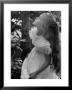 Girl Of The Children's School Of Modern Dancing, Looking Up A Tree by Lisa Larsen Limited Edition Print