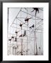 Maze Of Ringling Bros. New Outdoor Rigging Supporting Trapezes And Ropes by Frank Scherschel Limited Edition Print