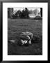 American Soldier Kissing English Girlfriend On Lawn In Hyde Park, Favorite Haunts Of Us Troops by Ralph Morse Limited Edition Print