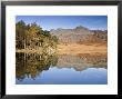 Blea Tarn, Lake District, Cumbria, Uk by Doug Pearson Limited Edition Pricing Art Print