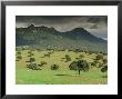 Landscape Near Guadalupe, Extremadura, Spain by Michael Busselle Limited Edition Print