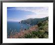 South West Peninsula Coast Path, Devon, England, United Kingdom by Chris Nicholson Limited Edition Print