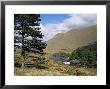 Aasleagh Falls, County Mayo, Connacht, Eire (Republic Of Ireland) by Roy Rainford Limited Edition Print