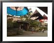 Traditional Parasol And Umbrella Makers Shop, Kanazawa, Ishikawa Prefecture, Japan by Christian Kober Limited Edition Print