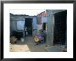 Houses, Soweto, South Africa, Africa by Jane Sweeney Limited Edition Print