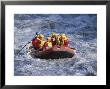 White Water Rafting, Queenstown, South Island, New Zealand by D H Webster Limited Edition Print