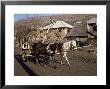 Botiba Village, Maramuresh Region, Romania by Liba Taylor Limited Edition Pricing Art Print