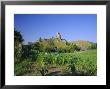 View Across Fields To Corfe Castle, Dorset, England, Uk, Europe by Ruth Tomlinson Limited Edition Print