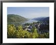 Bacharach, Rhine Valley, Germany, Europe by Hans Peter Merten Limited Edition Print