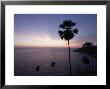 Phromthep Cape, Phuket, Thailand, Southeast Asia, Asia by Sergio Pitamitz Limited Edition Print