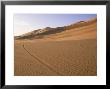 Vehicle Tracks And Sand Dunes, Erg Murzuq, Sahara Desert, Fezzan, Libya, North Africa, Africa by Sergio Pitamitz Limited Edition Print