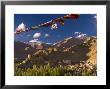 View Across Leh And Its Historic Victory Fort, Leh, Ladakh, India by Michele Falzone Limited Edition Print