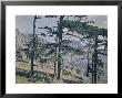 The Aiguilles De Bavella National Park by Henrie Chouanard Limited Edition Pricing Art Print