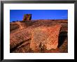 Rock Formations, Enchanted Rock State Park, Texas by Richard Cummins Limited Edition Print