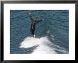 Man Surfs A Longboard At Refugio Point, California by Rich Reid Limited Edition Print