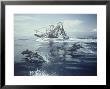 Spotted Dolphins Swim Alongside A Fishing Boat by Bill Curtsinger Limited Edition Print