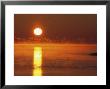 Brilliant Sunrise Over Nosuke Bay With Water Birds by Tim Laman Limited Edition Pricing Art Print