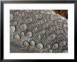 Rain Drops On A Gull Feather, South Spitsbergen National Park, Hornsund, Svalbard, Norway by Ralph Lee Hopkins Limited Edition Print