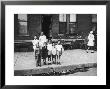 African American Children Posing On A Sidewalk In The Slums Of Chicago by Gordon Coster Limited Edition Print