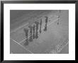 Overhead View Of People With Umbrellas Waiting For The Tram, Melbourne, Australia by E O Hoppe Limited Edition Print