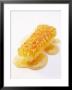 A Piece Of Honeycomb by Marc O. Finley Limited Edition Print