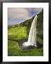 Seljalandfoss Waterfall, South Coast, Iceland by Michele Falzone Limited Edition Pricing Art Print