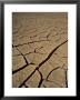 Atacama Desert, Chile, South America by Mcleod Rob Limited Edition Print