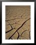 Atacama Desert, Chile, South America by Mcleod Rob Limited Edition Print