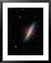 The Cigar Galaxy by Stocktrek Images Limited Edition Print