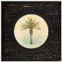 Classic Date Palm by Chad Barrett Limited Edition Pricing Art Print